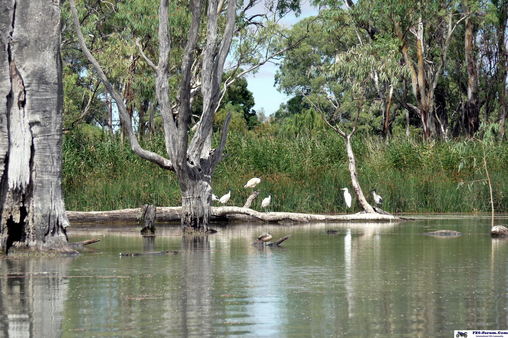 River Muray - Riverland