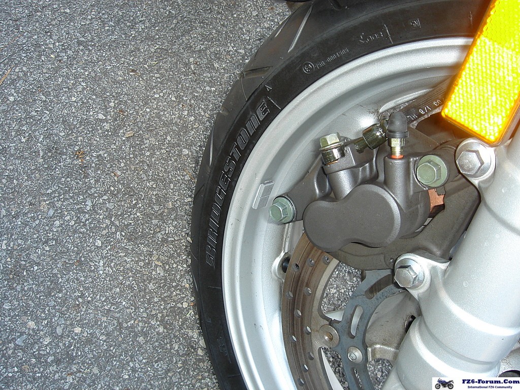 SpeedBleeders.