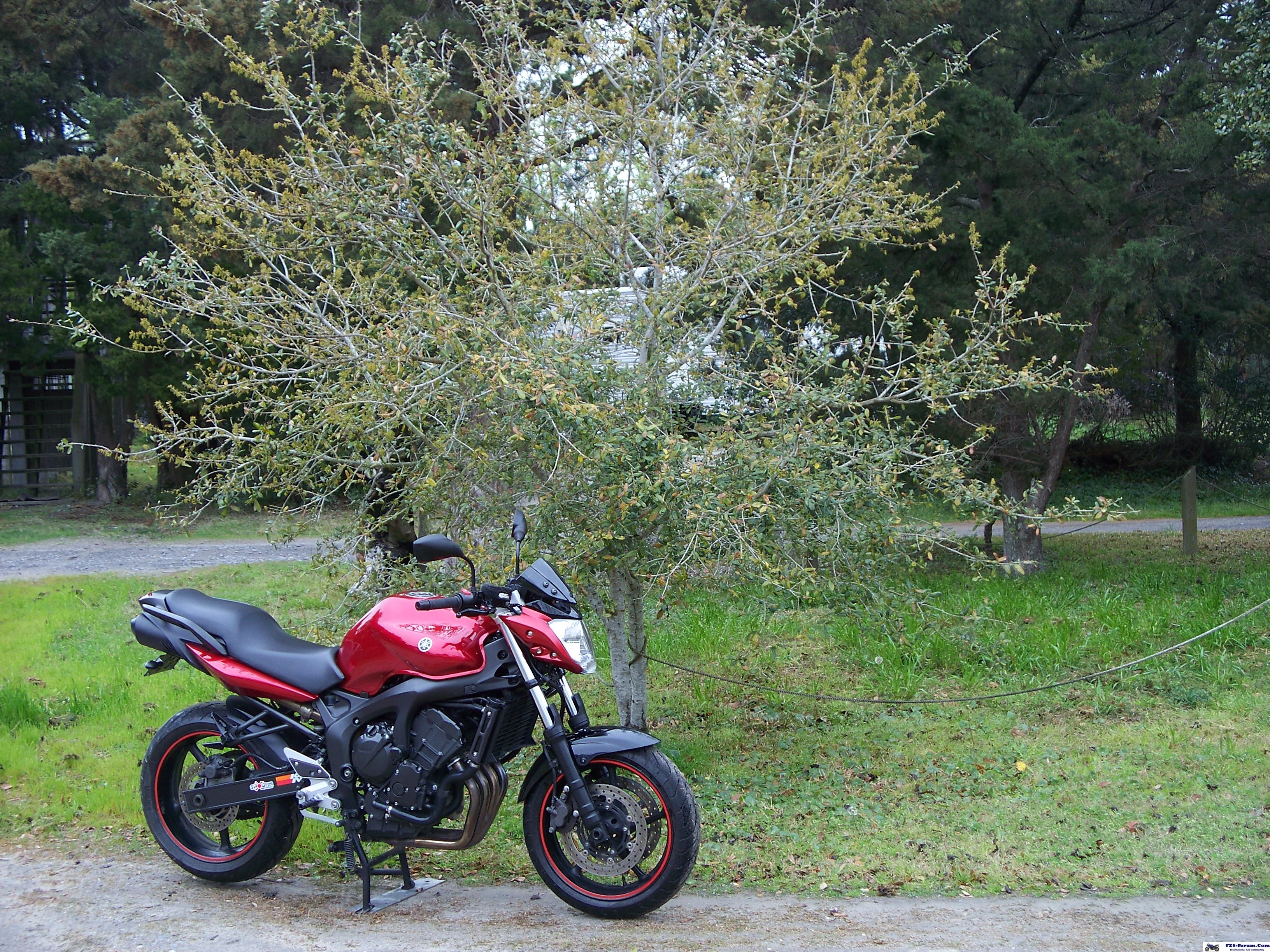 Spring Clean