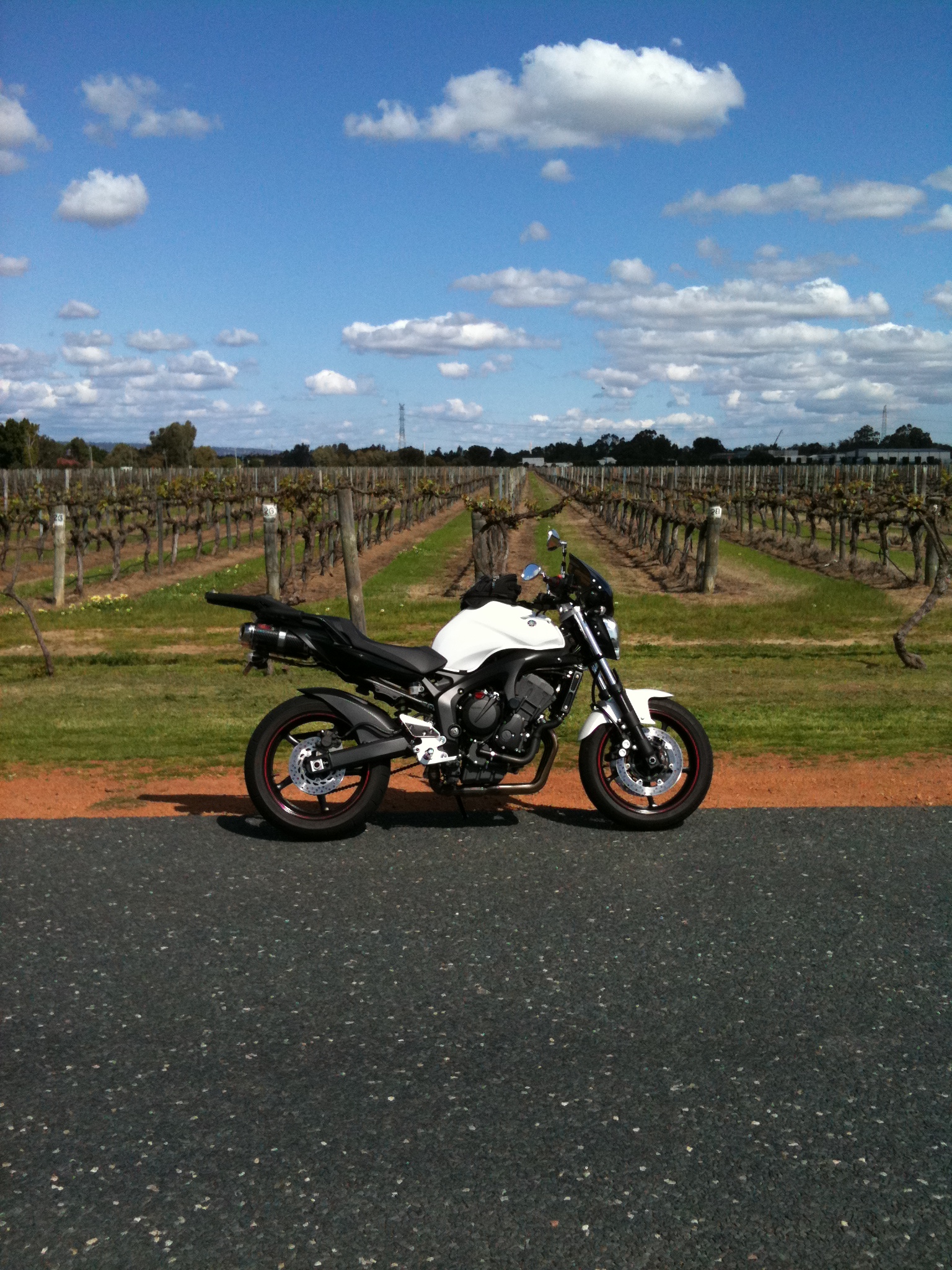 Swan Valley Vineyard