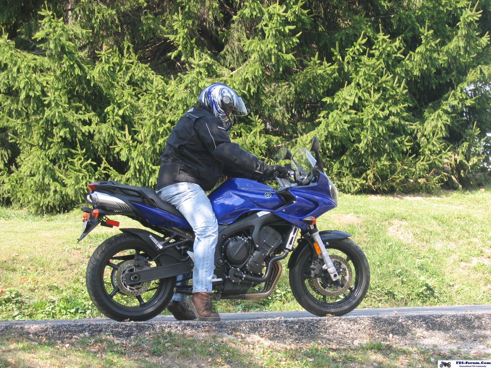 The Need For Speed
