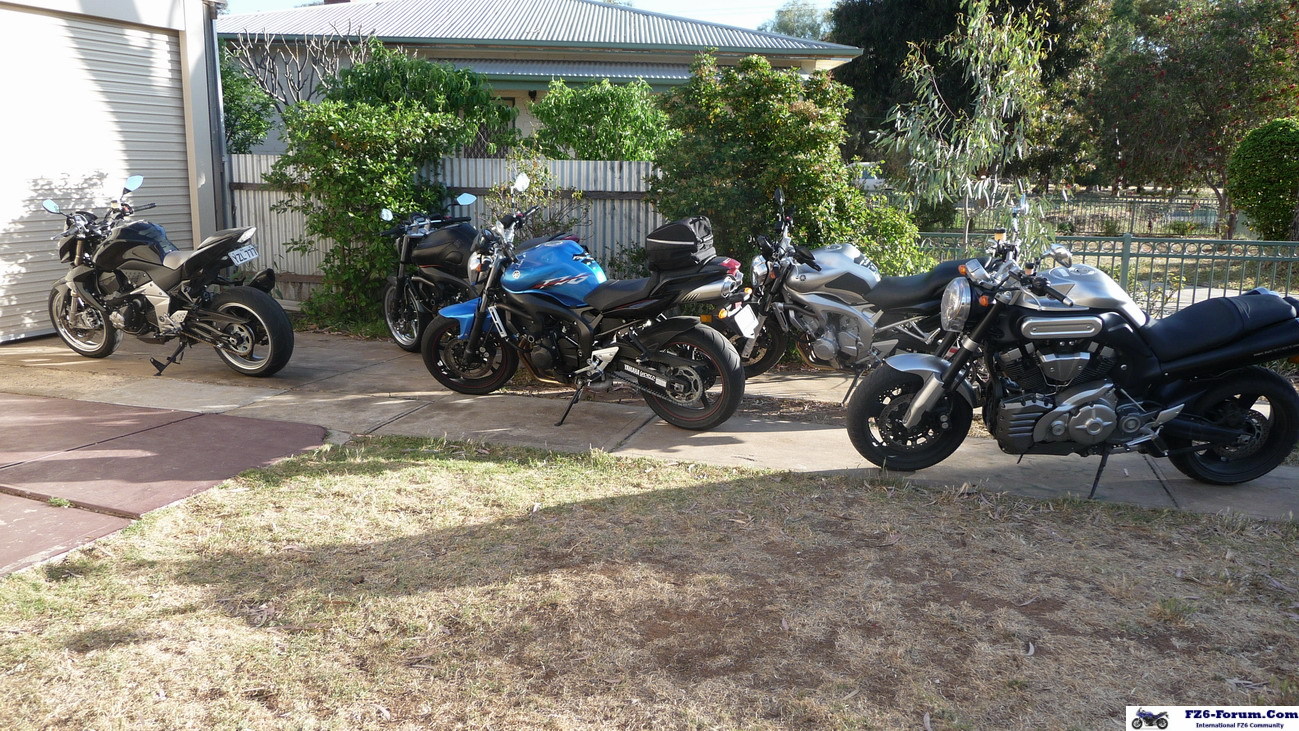THE sa fIZZERS