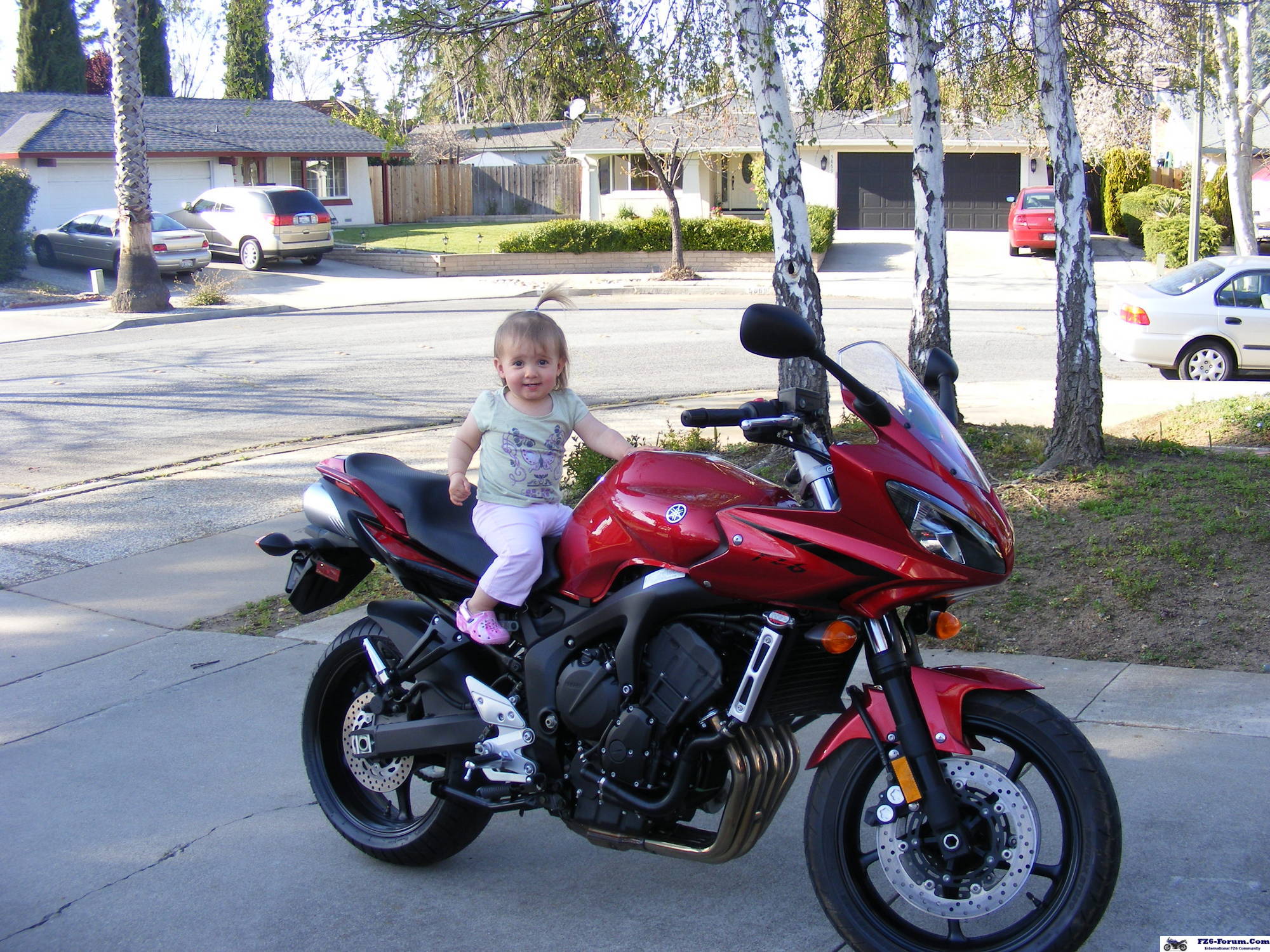 Travis' 2007 FZ6