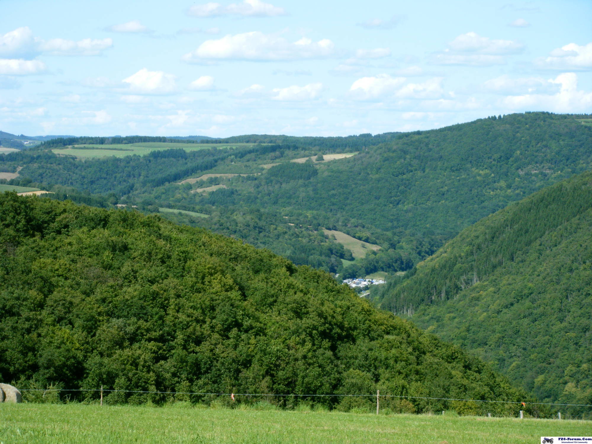 trier36