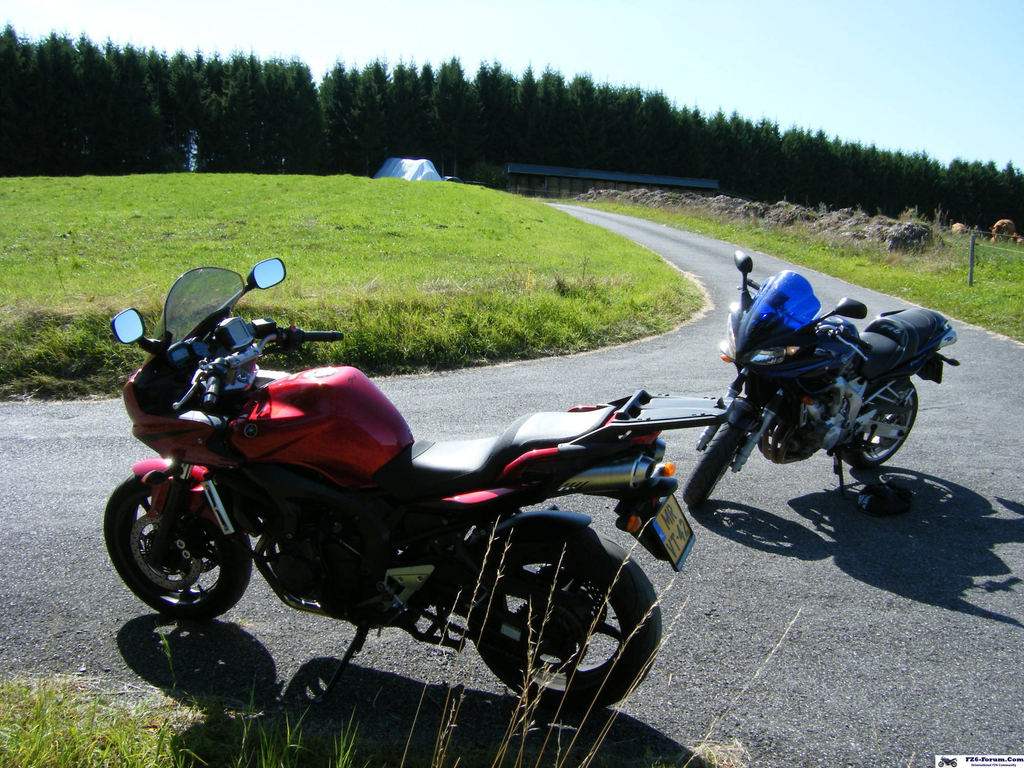 trier38