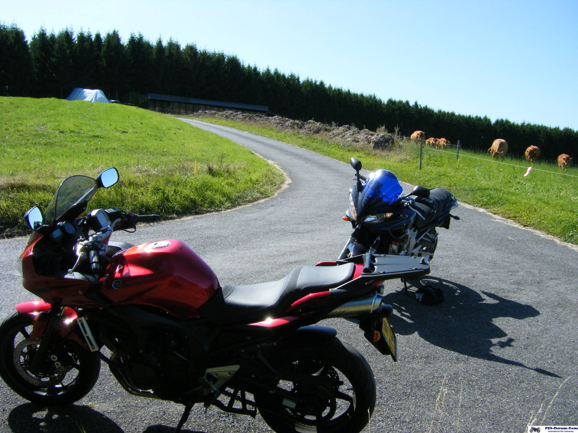 trier39