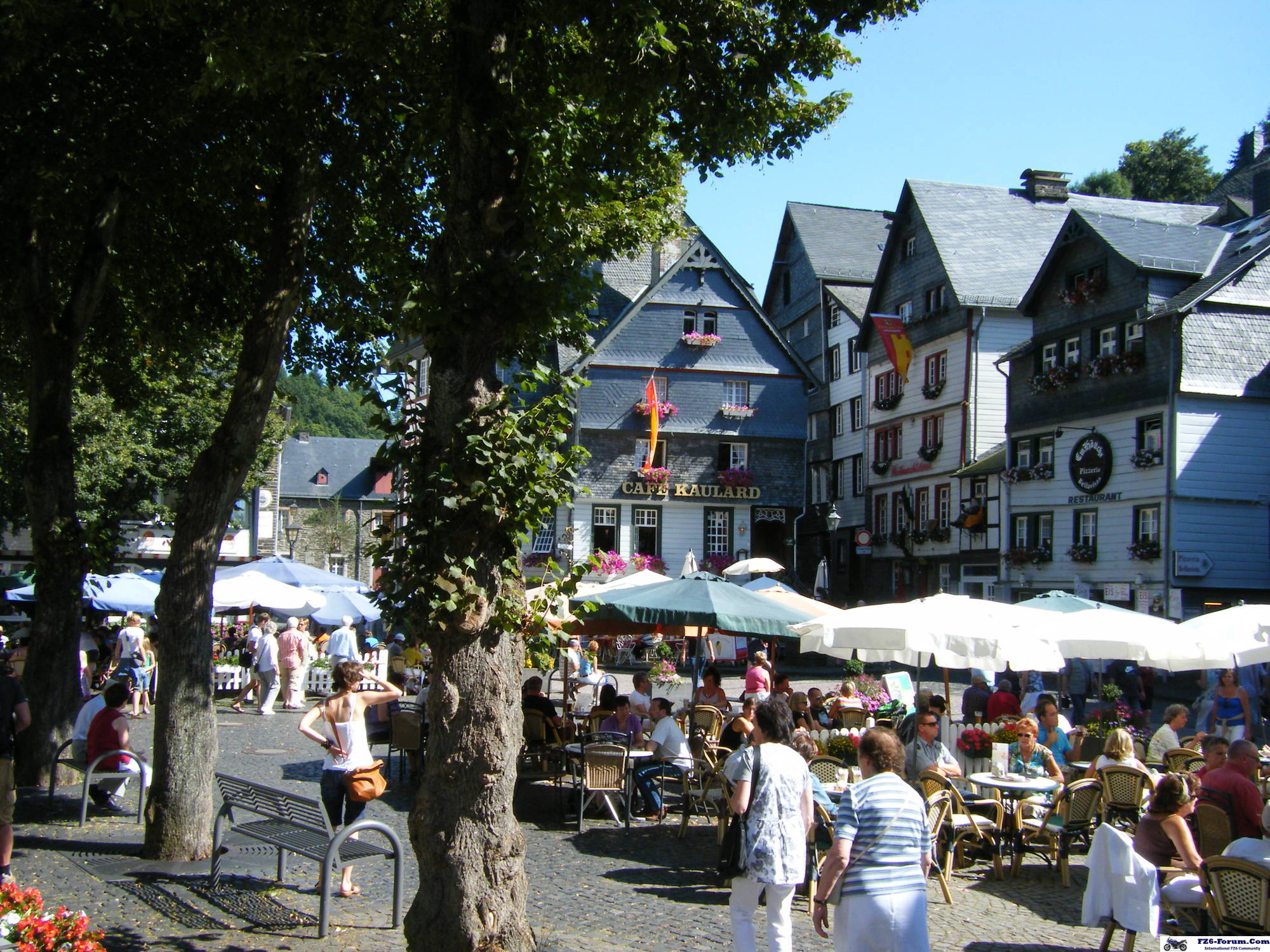 trier81