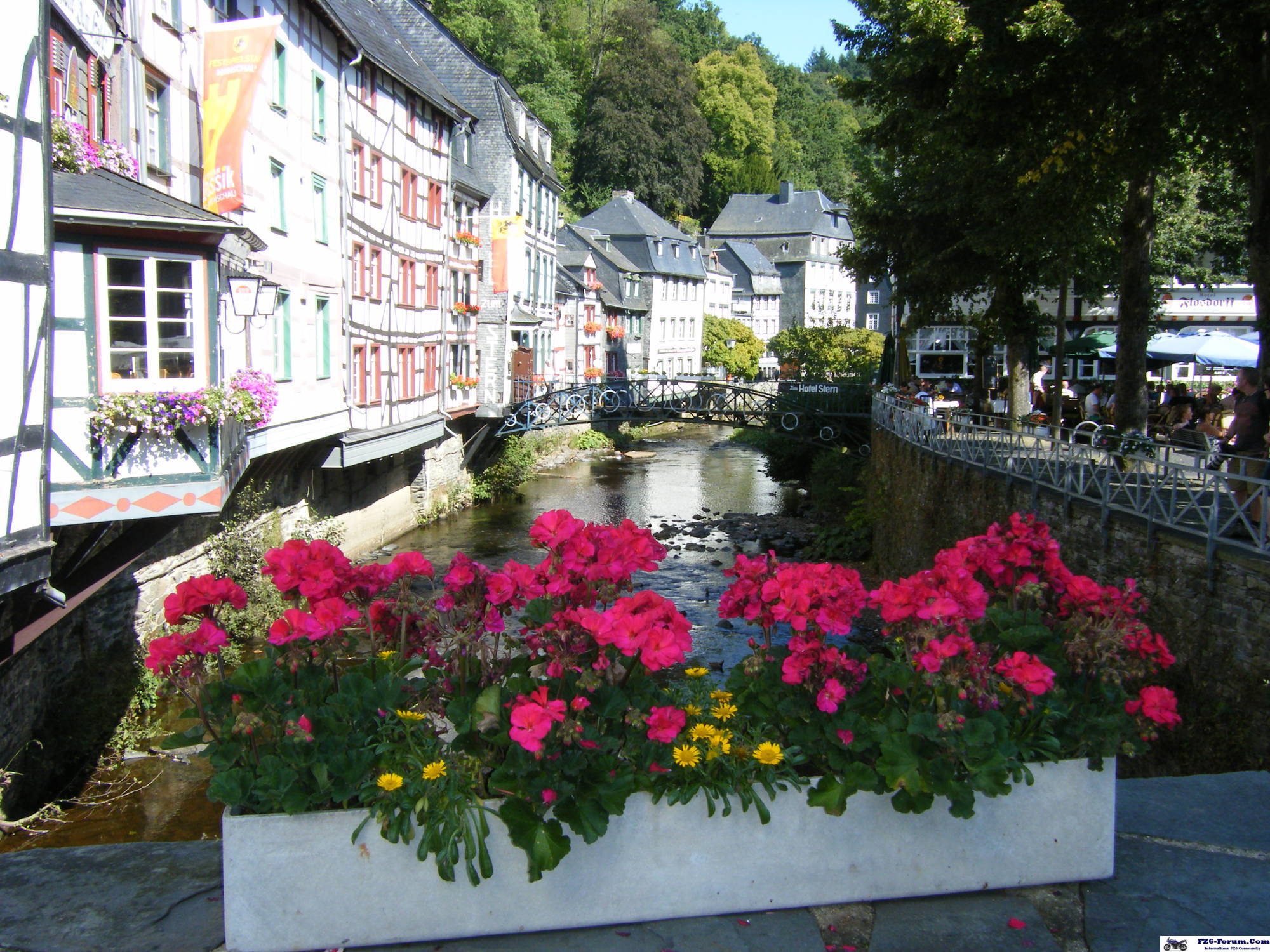 trier82