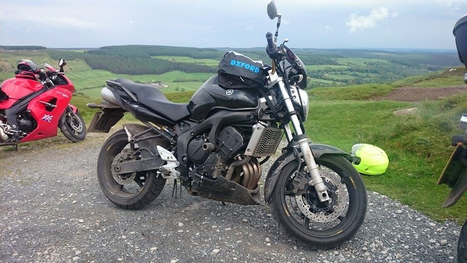 Up on the moors