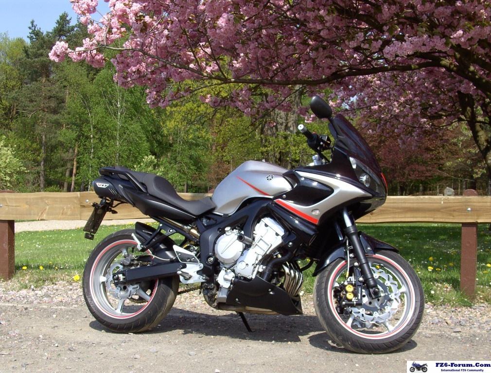 update_fz6-_04_bugsterkiton