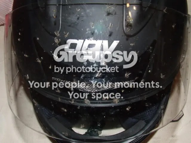 DSCF9739.jpg
