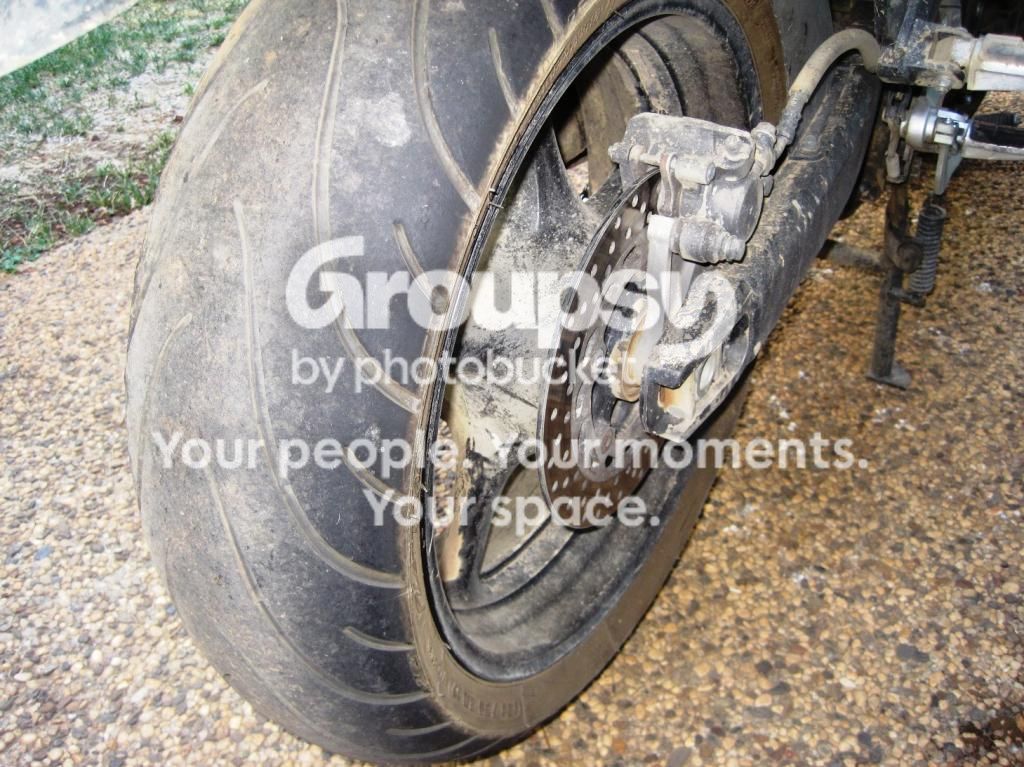 Rear-PRII_zps9efed42d.jpg