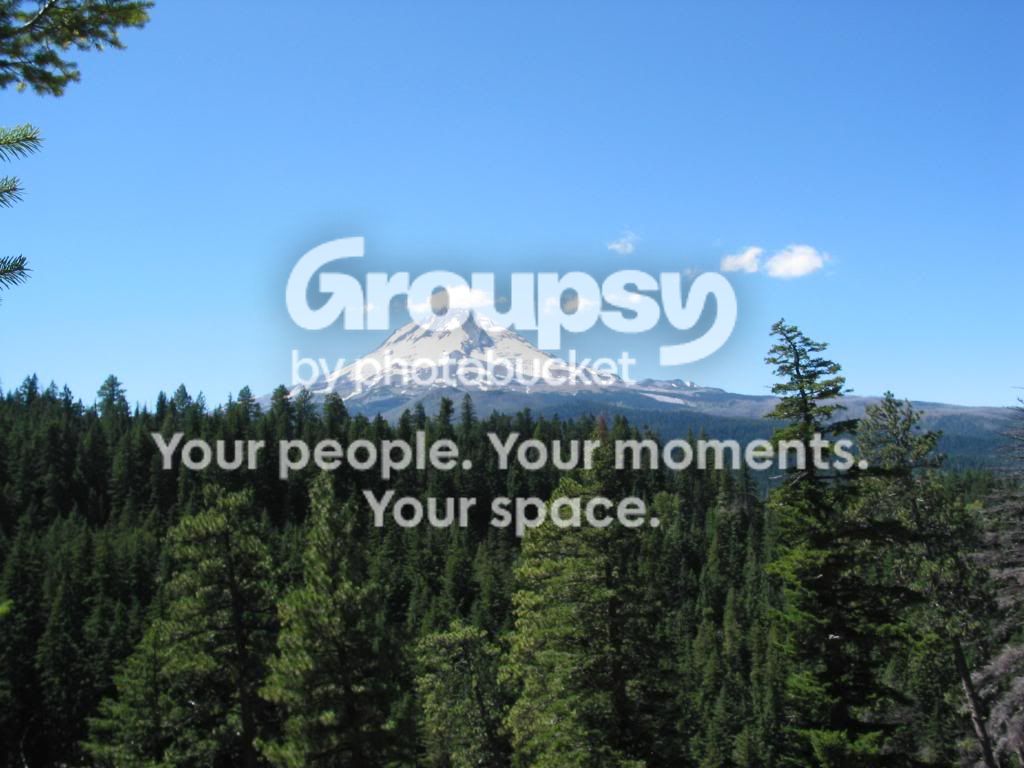 IMG_0092_zps52928084.jpg