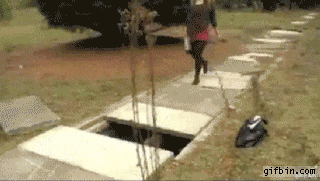friday_gifdump_37_08.gif
