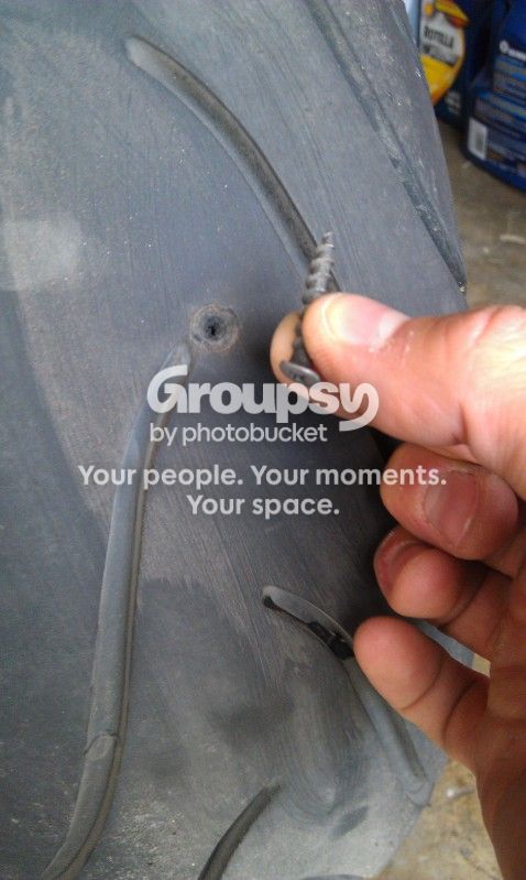 IMAG0342-1.jpg