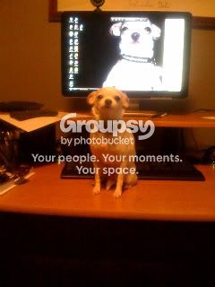 photo-1.jpg