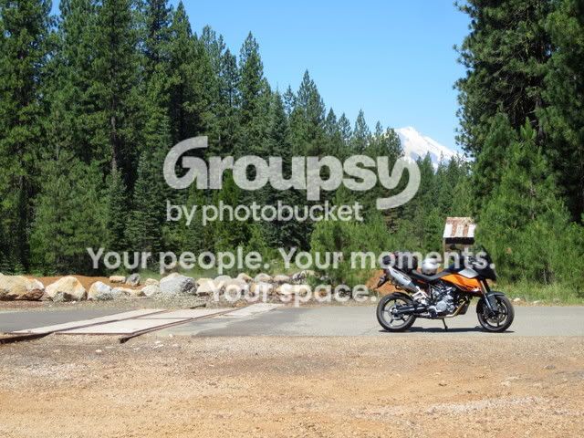 IMG_3098.jpg