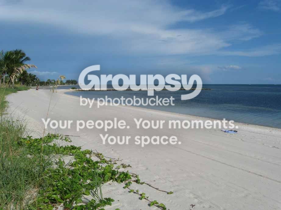 IMG_3462.jpg