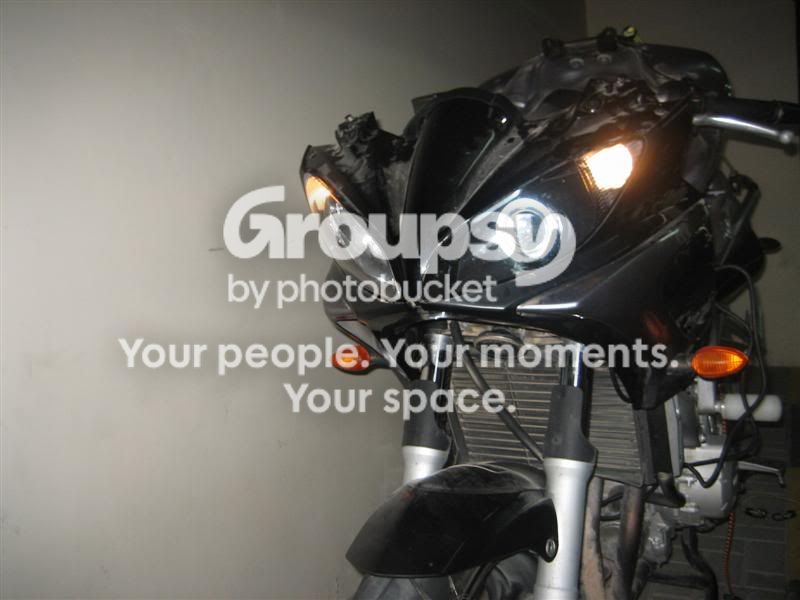 IMG_0484Medium.jpg