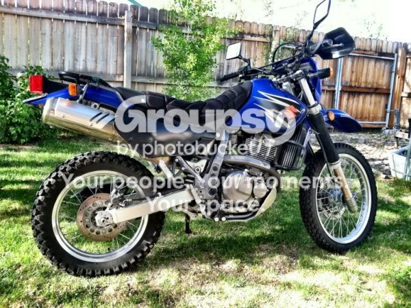 DR650_CORTEZ.jpg
