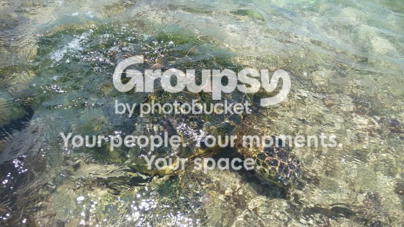 P1010883.jpg