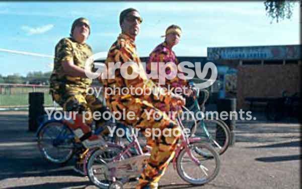 alig.jpg