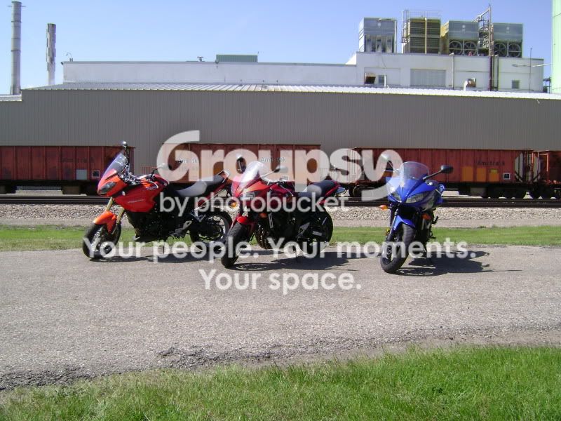DSC08890.jpg