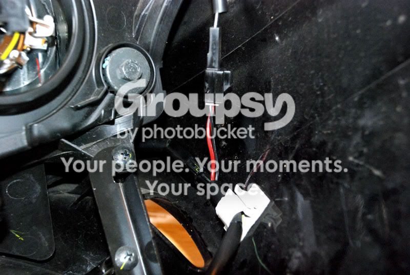 DSC_5041podwires.jpg