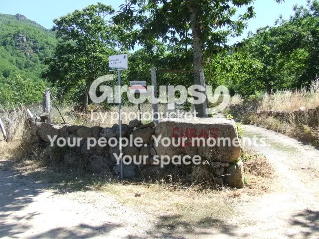 DSCF9516.jpg