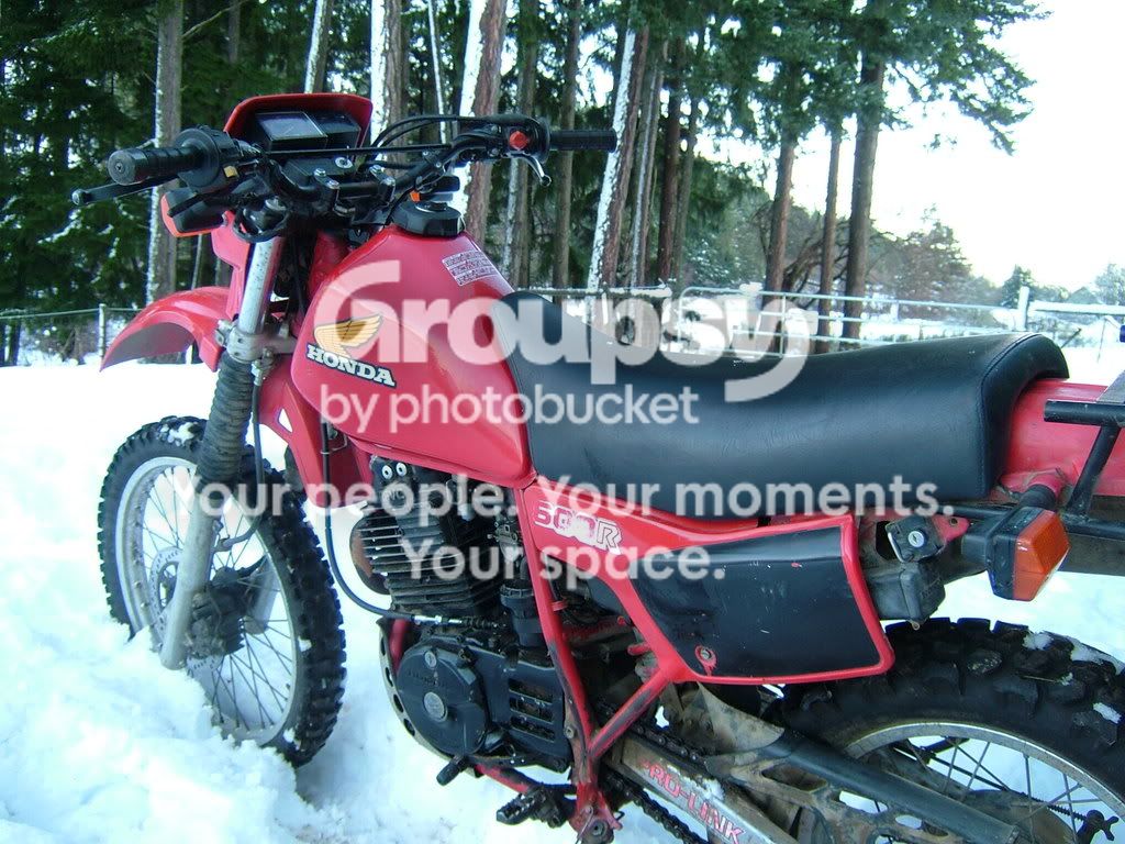 DSCF4471.jpg