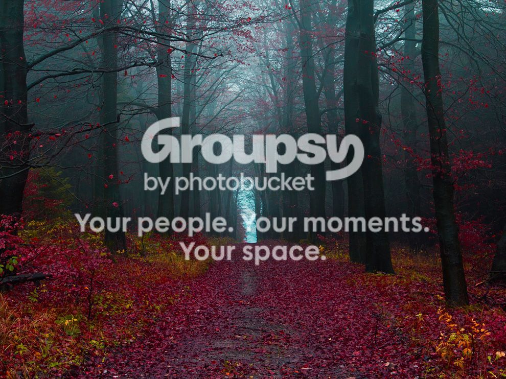 blackforest_zps69698908.jpg