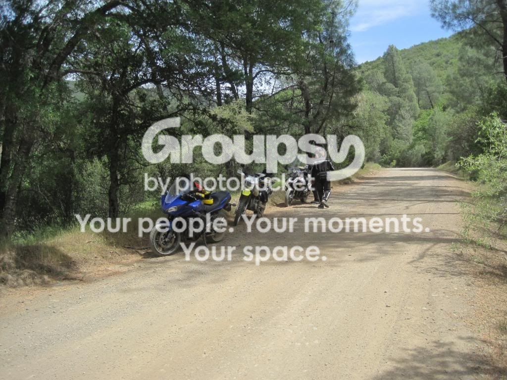 Mendo_NF_zps4304c6f0.jpg