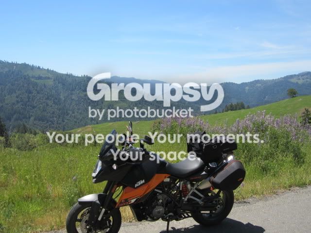 IMG_2662.jpg