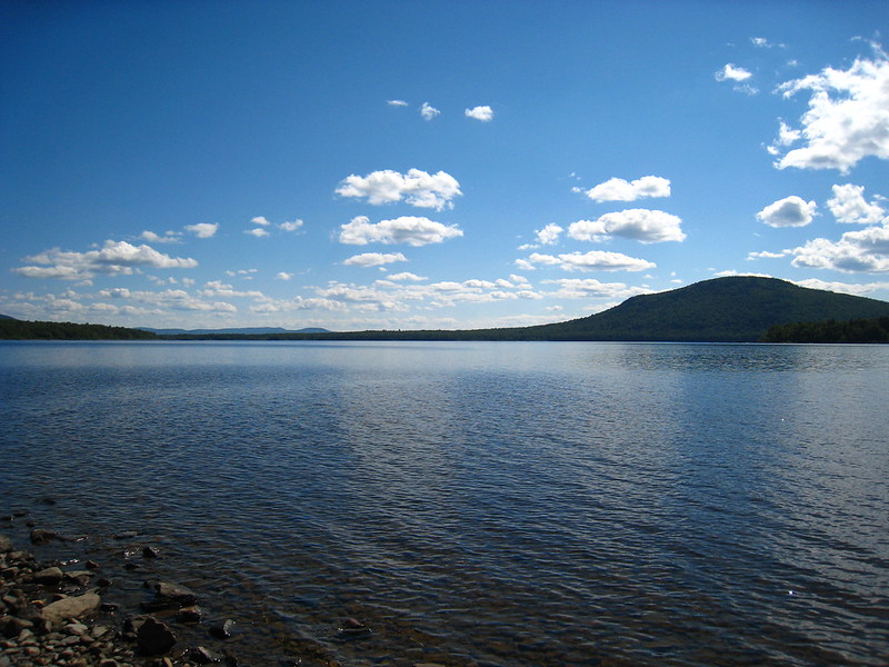 8005312725_f7cd6d9745_c.jpg