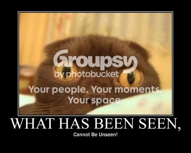 WhatHasBeenSeenCannotBeUnseen-1.jpg