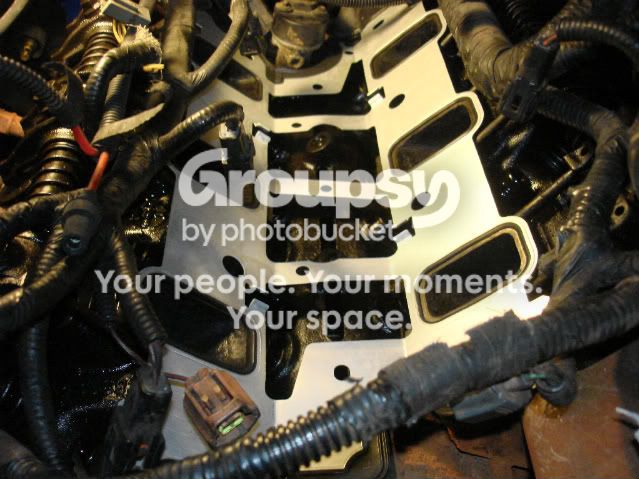 DSC01113.jpg