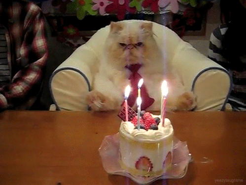 tumblr_m2iy4uKTS11r05234.gif