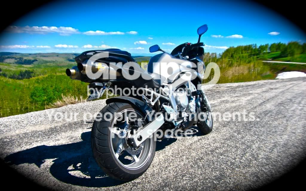 IMG_5713.jpg