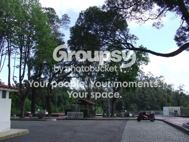 DSCF8075.jpg