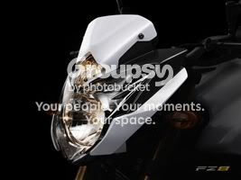 fz8-naked.jpg