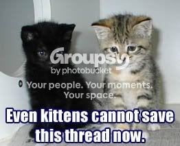 kittenssave.jpg