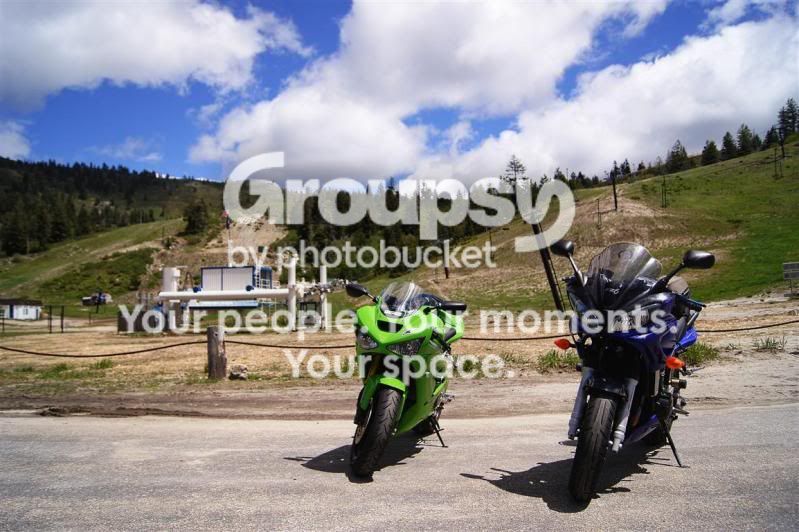 zBogusDay11.jpg