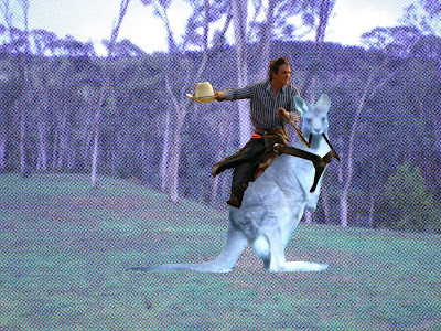 kangaroo+saddle2.jpg