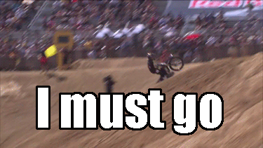 tumblr_mj1wmeD61W1rjcfxro1_400.gif