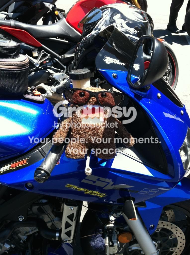 IMG_3425_zps276c7f97.jpg