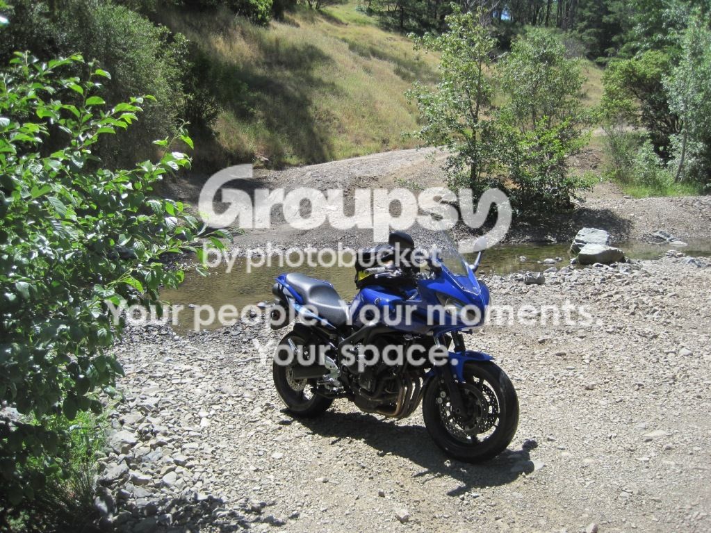 IMG_1200___2.jpg