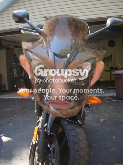 mattbike.jpg