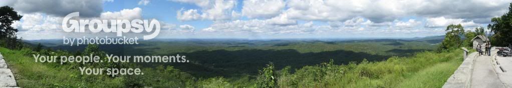P11-CherohalaSkyway.jpg