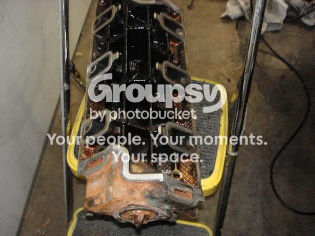DSC01114.jpg