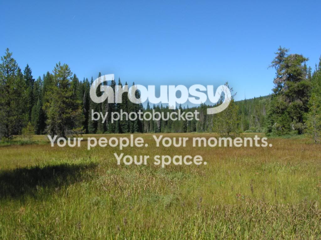IMG_0123_zps8cef11c9.jpg